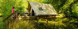 lakeside camping burgundy bungalow