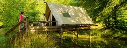camping graafschap franche ombragé