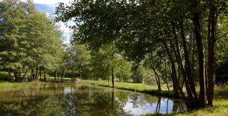 eco responsable eau fougeraie
